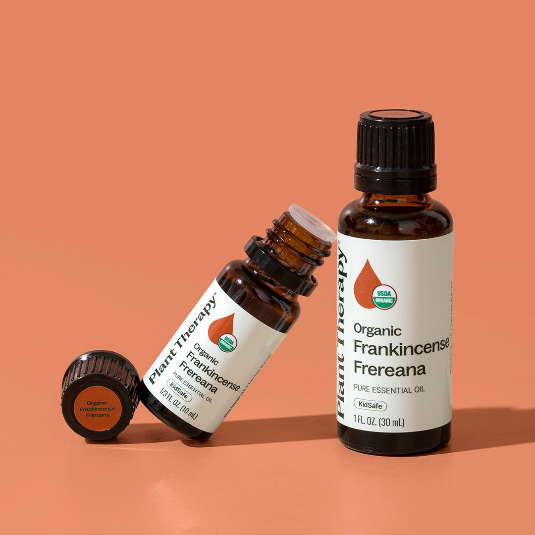 Organic Frankincense Frereana Essential Oil – Plant Therapy