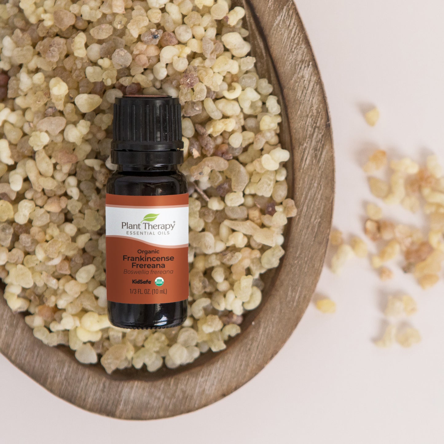Organic Frankincense Frereana Essential Oil – Plant Therapy