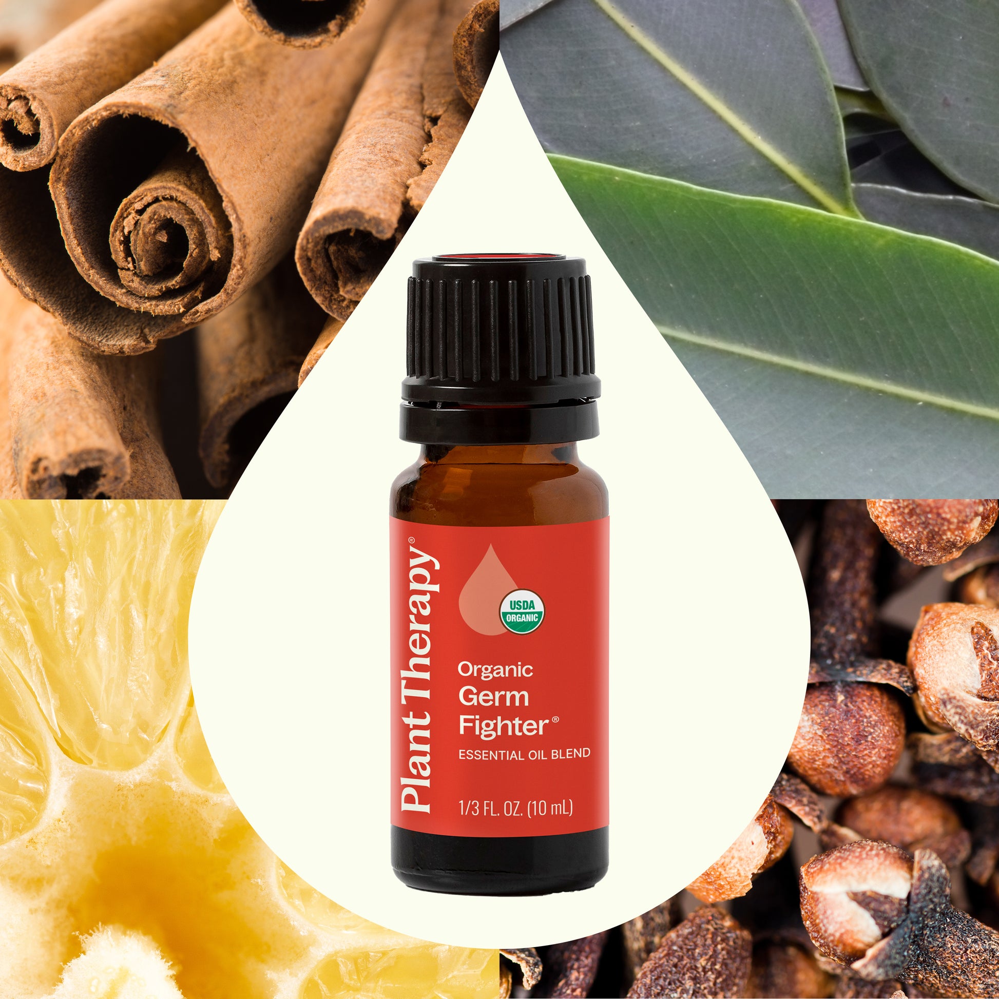 essential oil for plant fertilizer Organic Germ Fighter Essential Oil – Plant Therapy