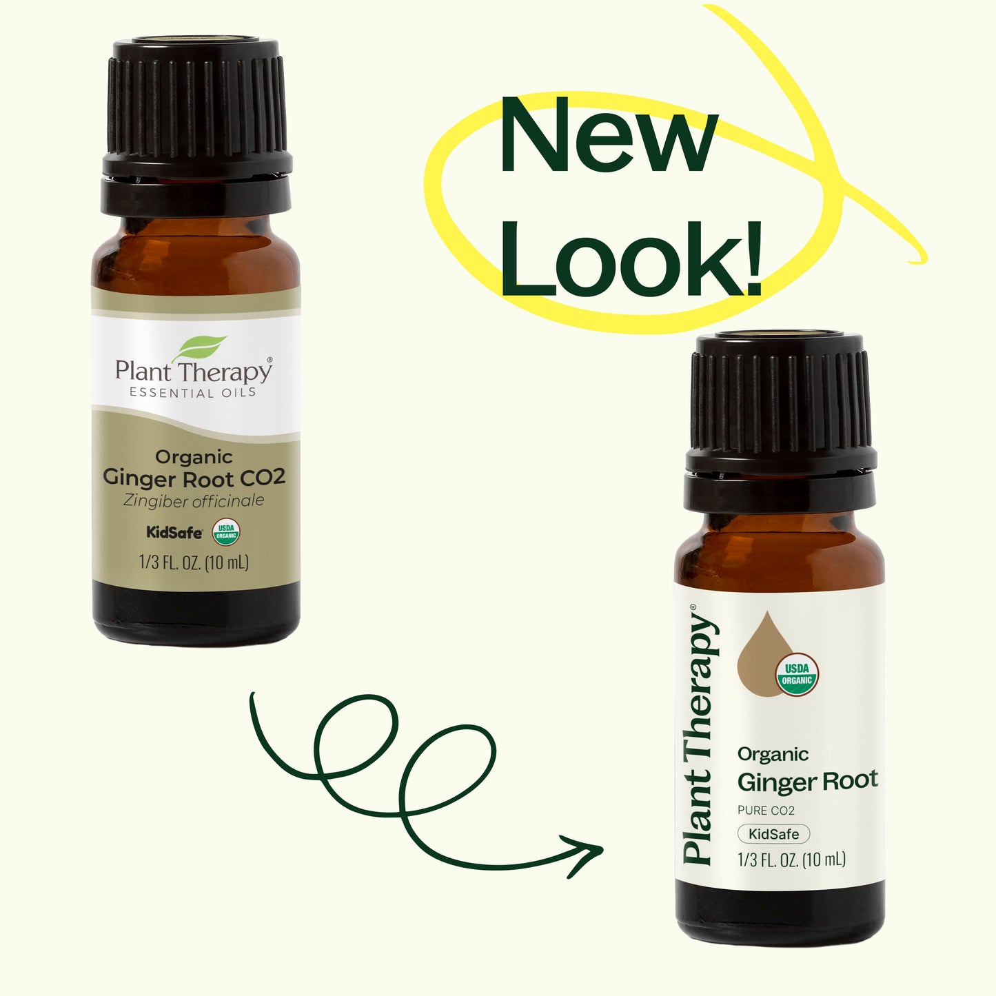 Organic Ginger Root CO2