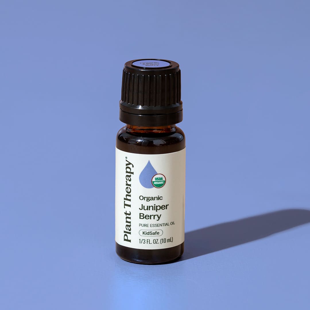 Organic Juniper Berry Essential Oil – Plant Therapy