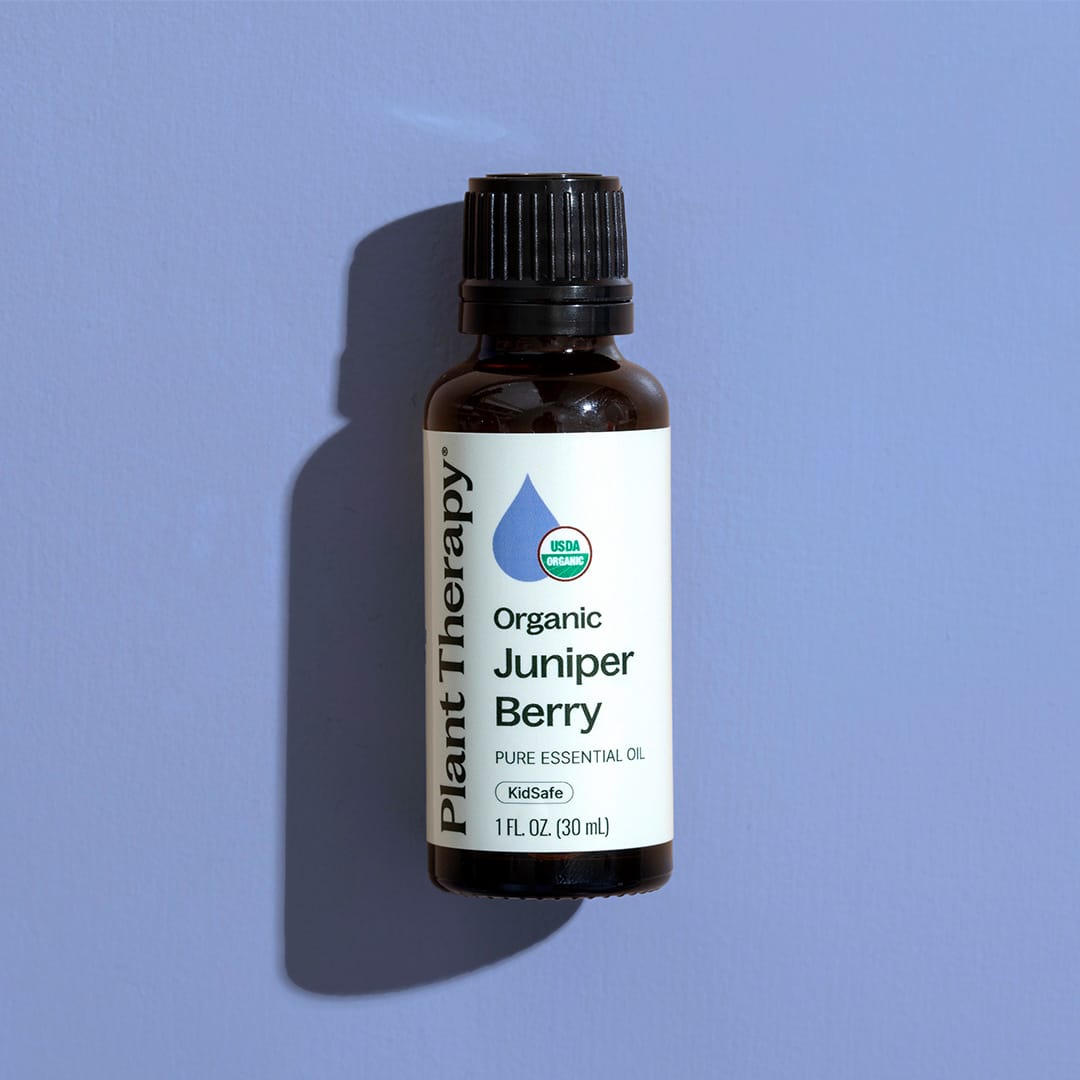 Organic Juniper Berry Essential Oil – Plant Therapy