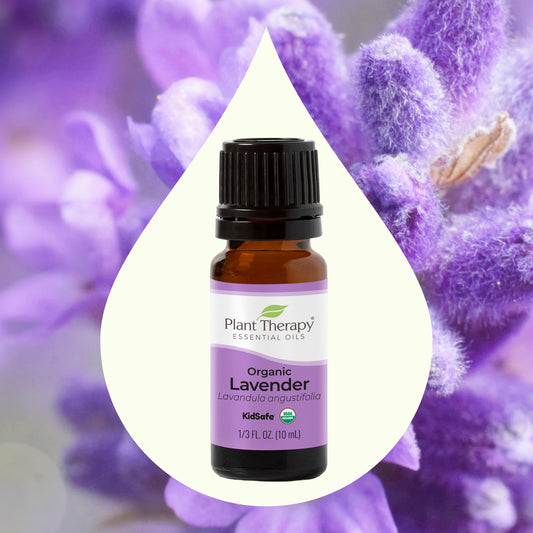 Organic Lavender Essential Oil front label
