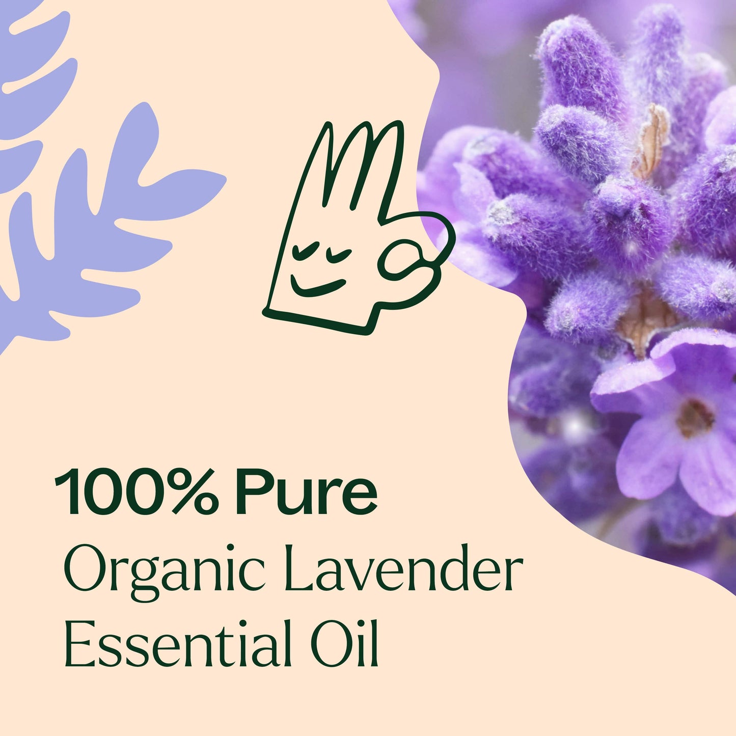 Organic Lavender Essential Oil is 100% pure