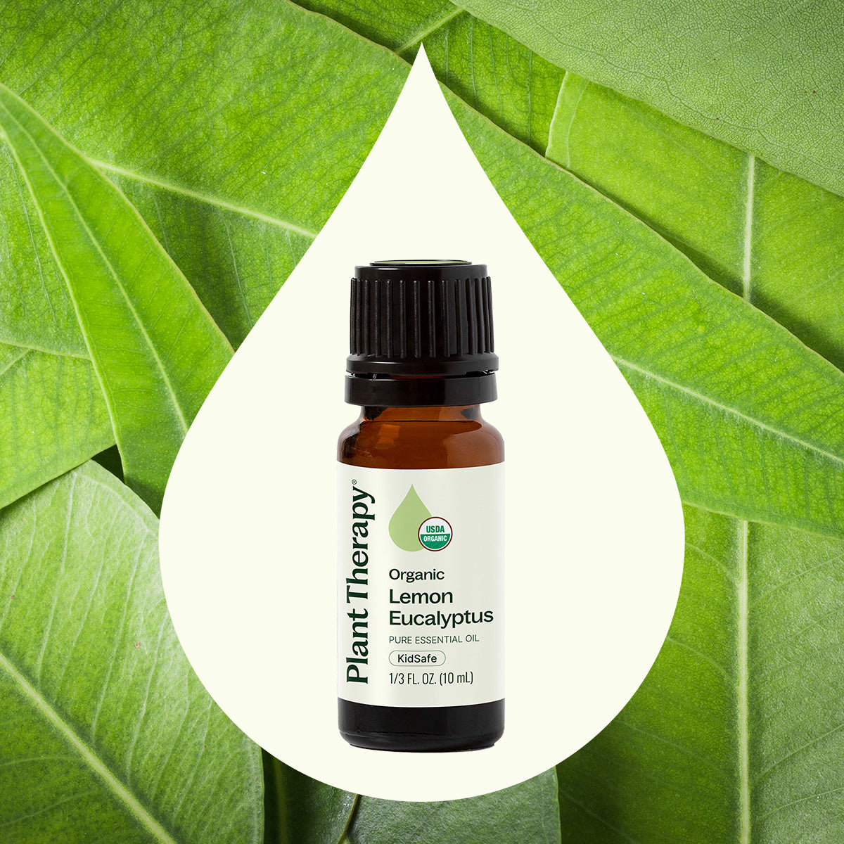 Organic Lemon Eucalyptus Essential Oil