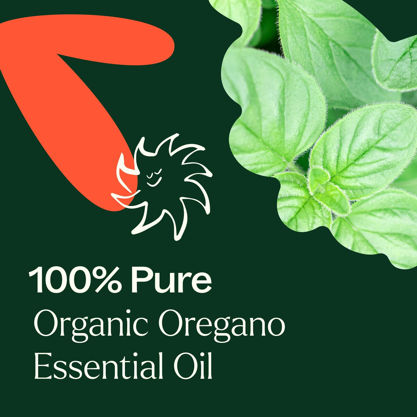 Organic Oregano Essential Oil is 100% pure