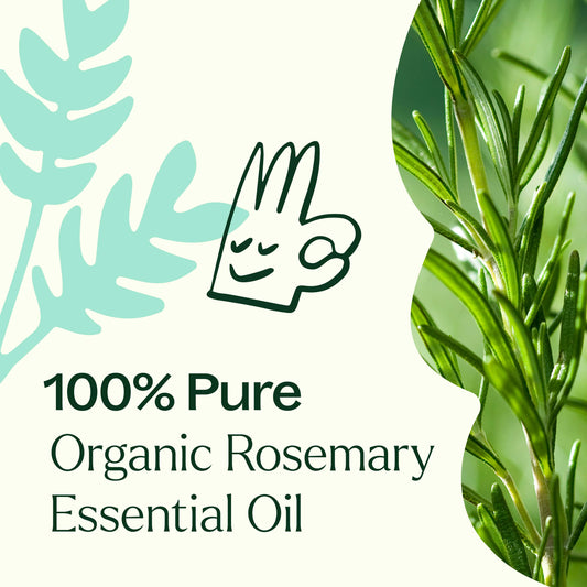 Organic Rosemary 1,8-Cineole Essential Oil is 100% pure