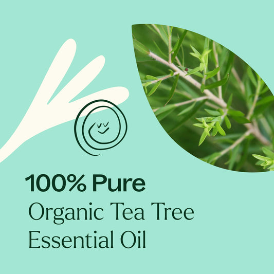 Organic Tea Tree Essential Oil is 100% pure