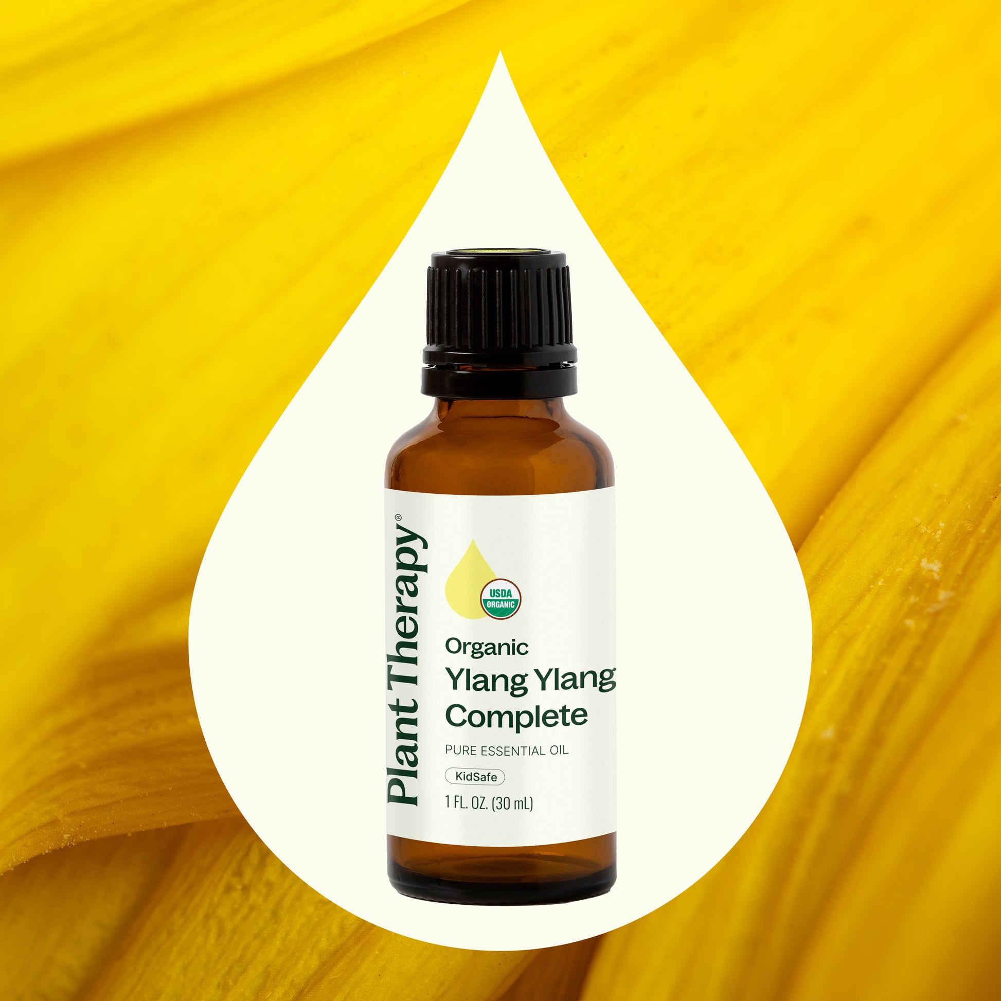 Organic Ylang Ylang Complete Essential Oil – Plant Therapy