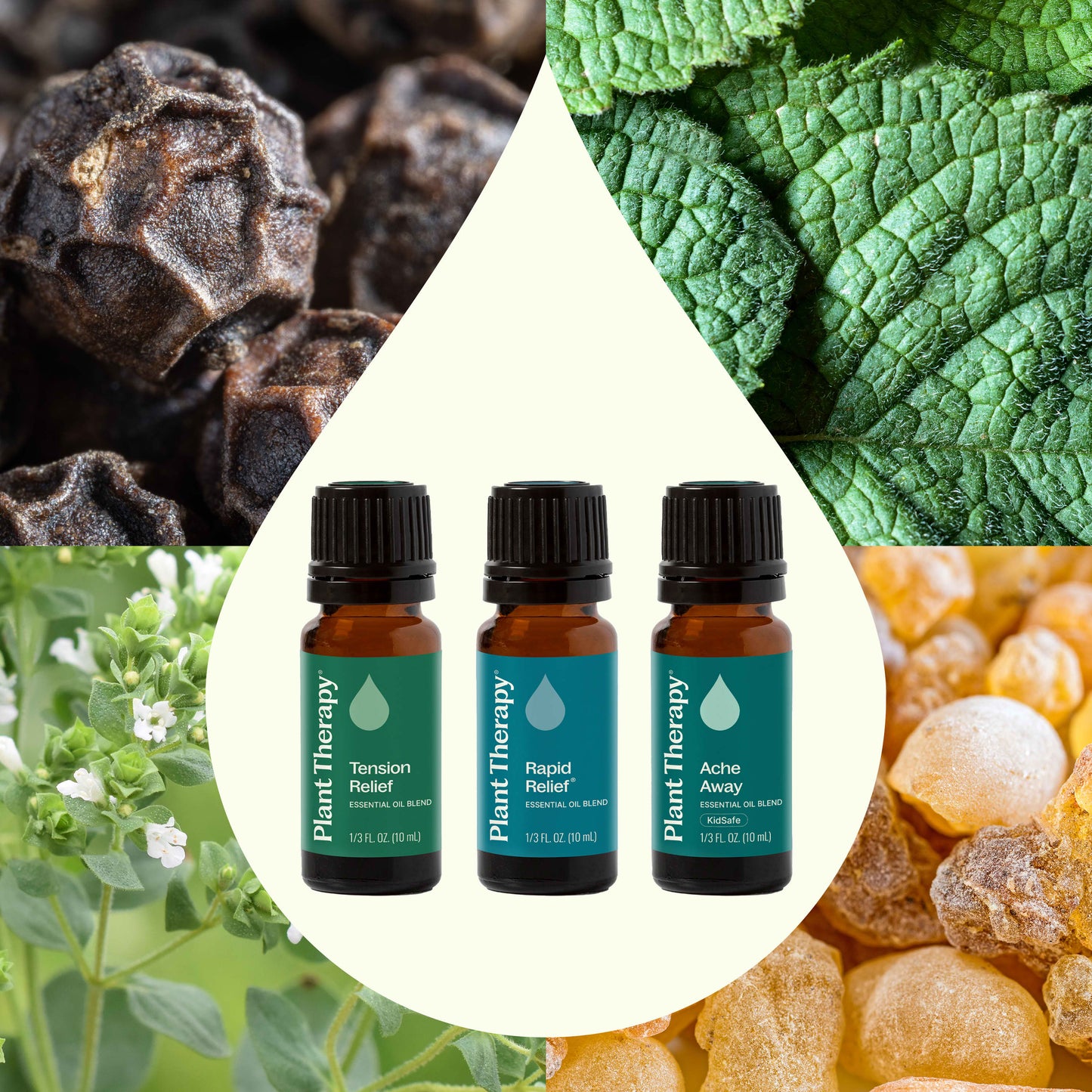 Pain Support Essential Oil Blend Set