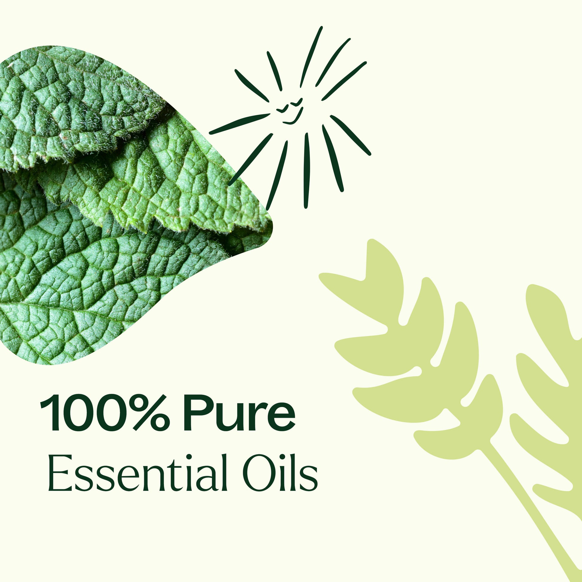 Pain Support Essential Oil Blend Set