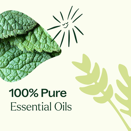 Pain Support Essential Oil Blend Set