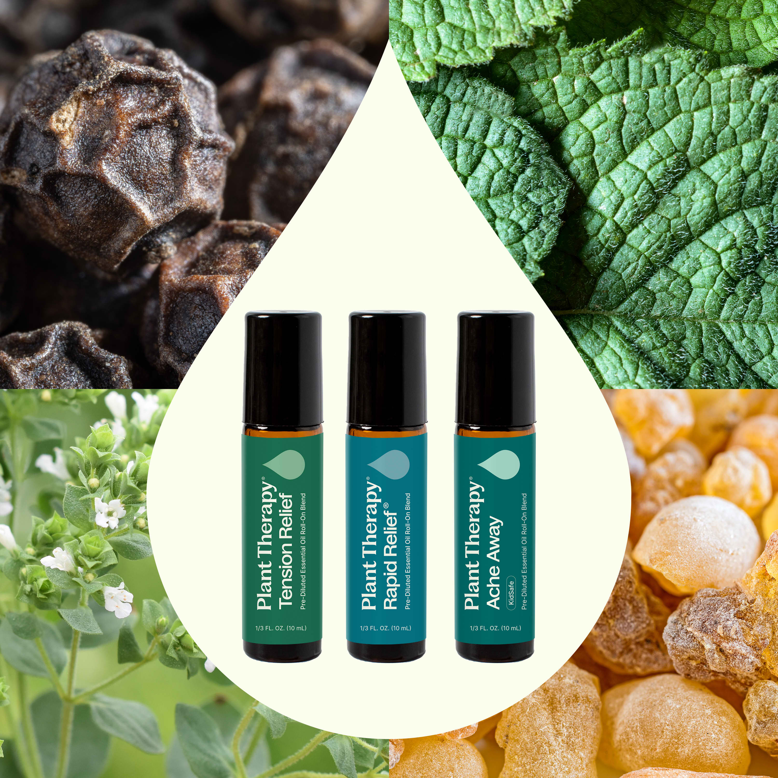 Pain Support Essential Oil Blend Roll On Set – Plant Therapy