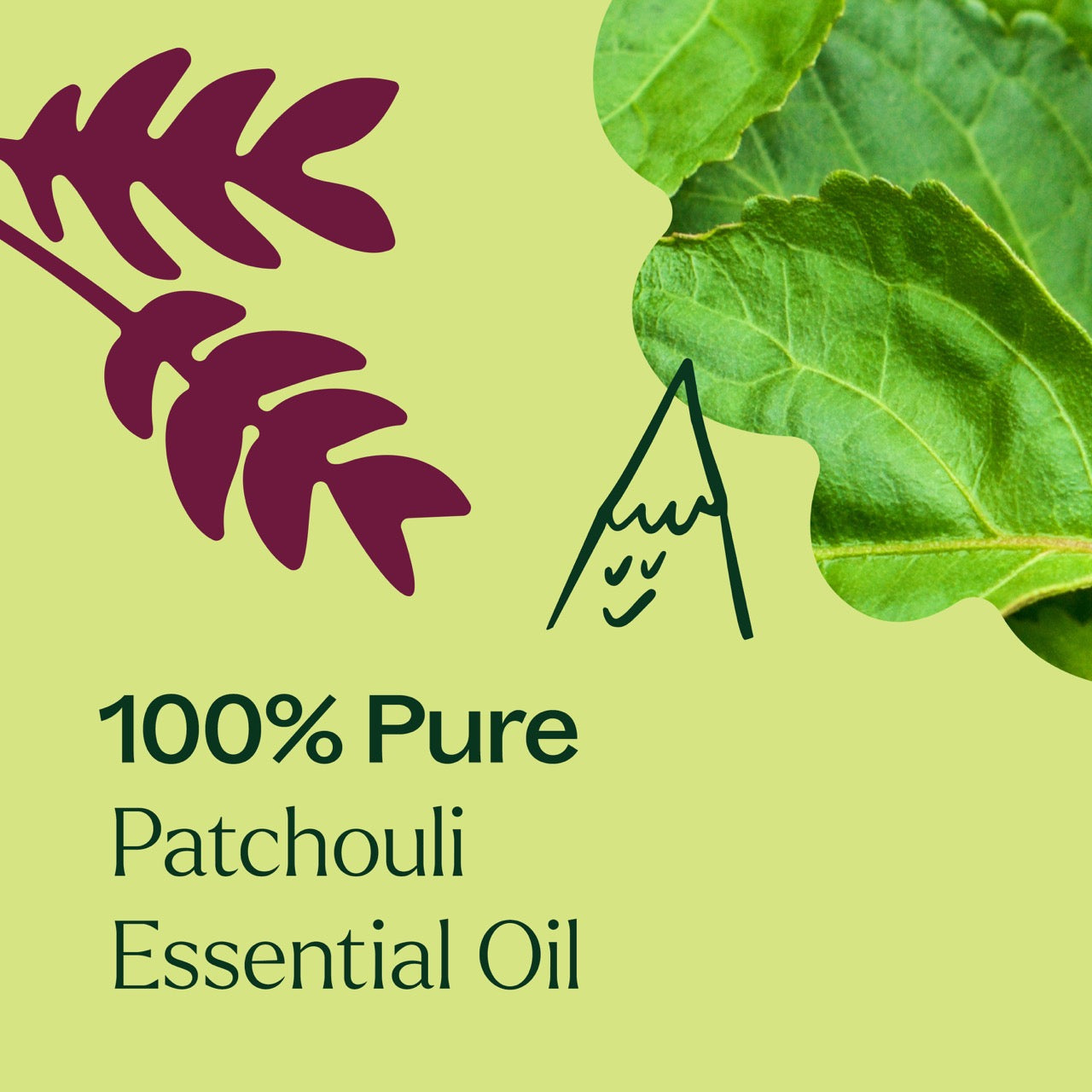 100% pure Patchouli Essential Oil