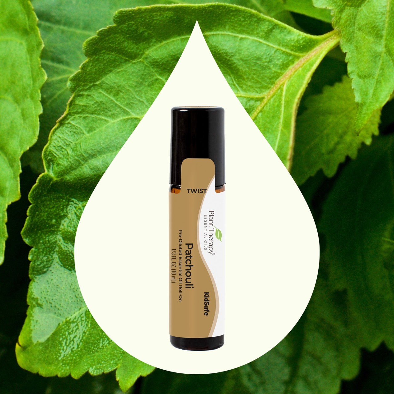 Patchouli Essential Oil Pre-Diluted Roll-On key ingredient image