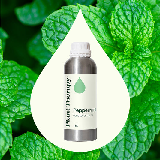 Peppermint Essential Oil Bulk