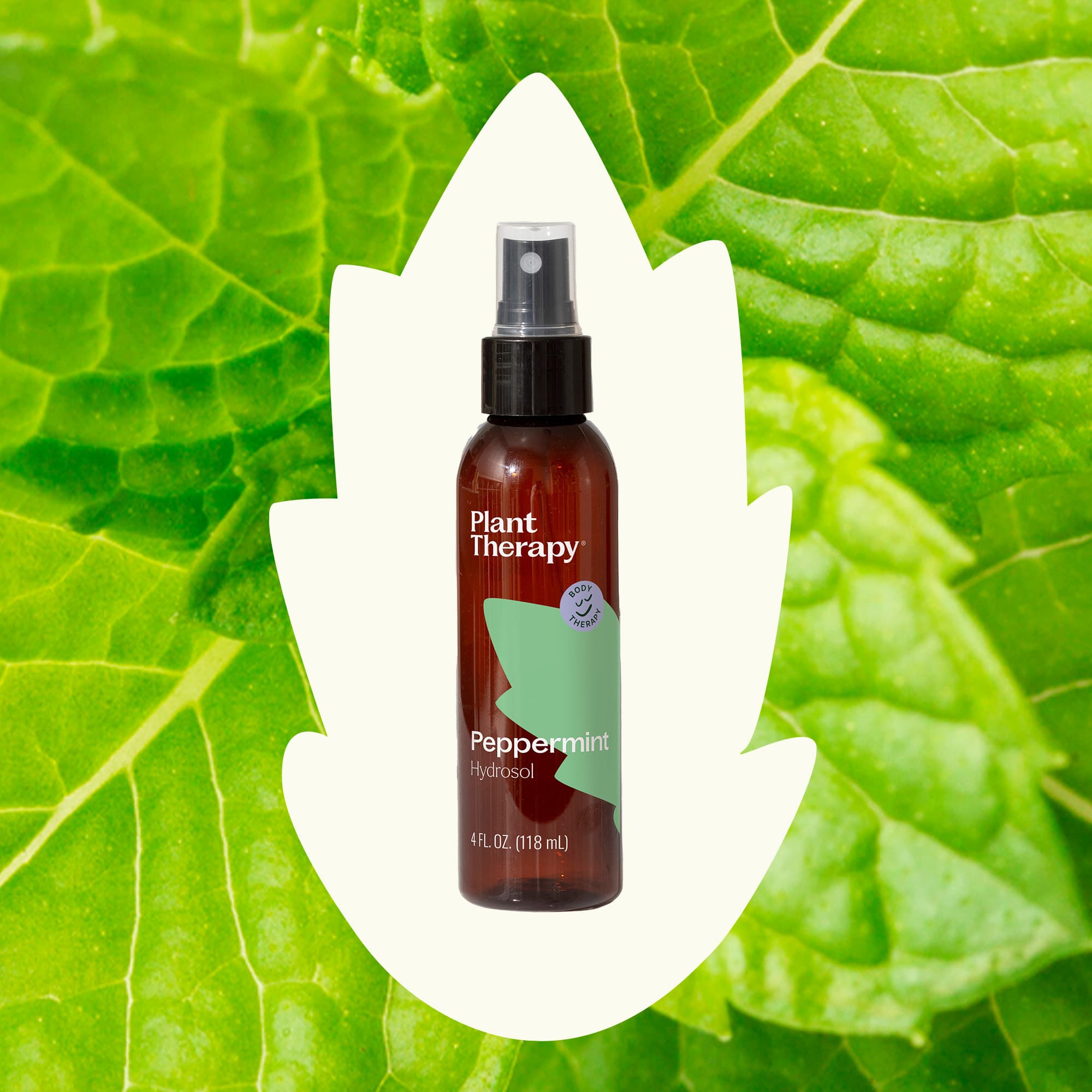 Peppermint Hydrosol – Plant Therapy