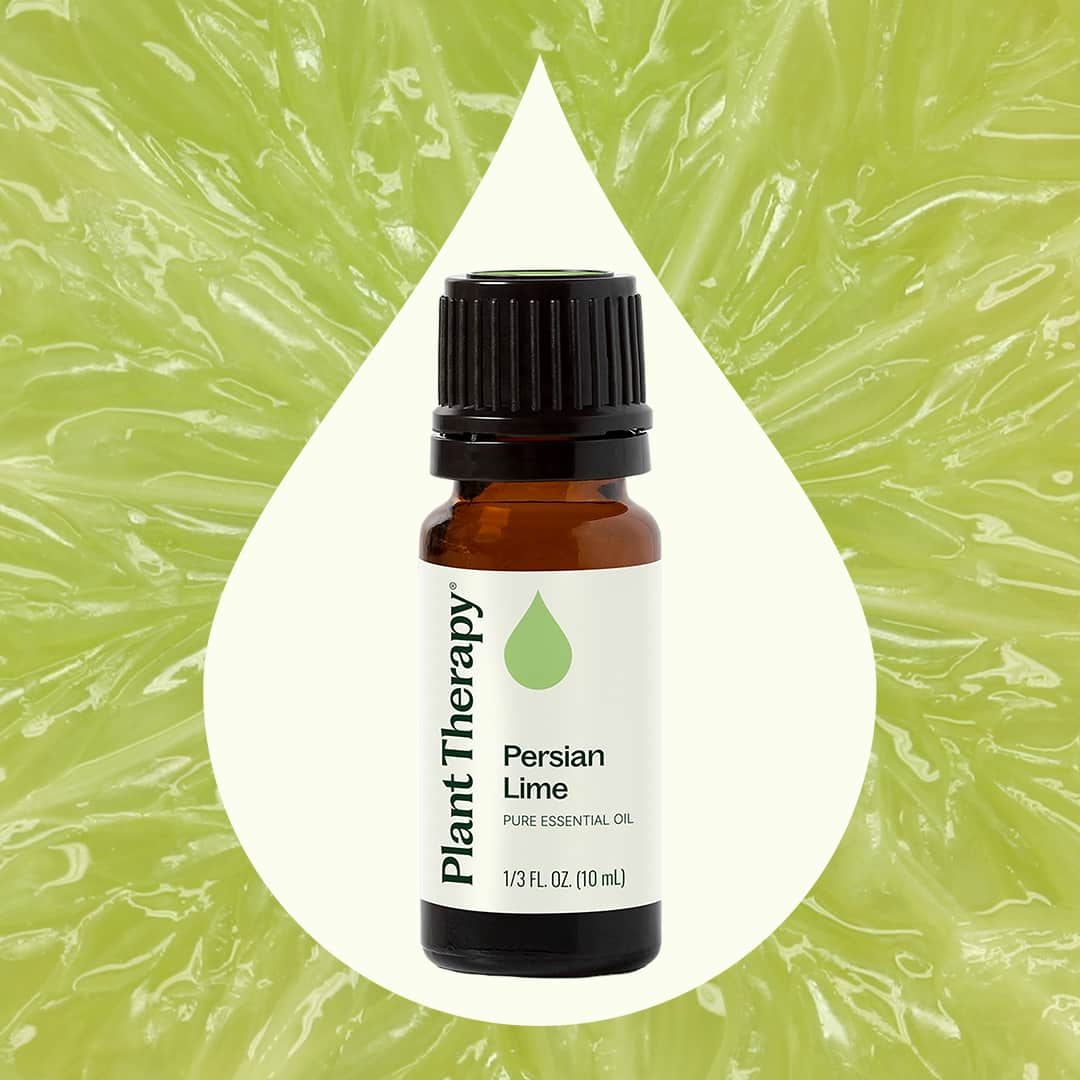 Persian Lime Essential Oil – Plant Therapy