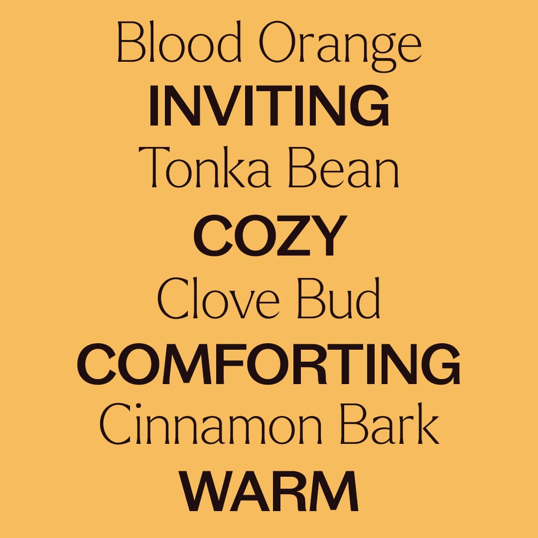 Pumpkin Harvest Essential Oil Blend Set