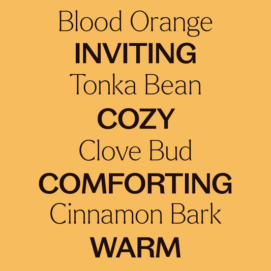 Pumpkin Harvest Essential Oil Blend Set