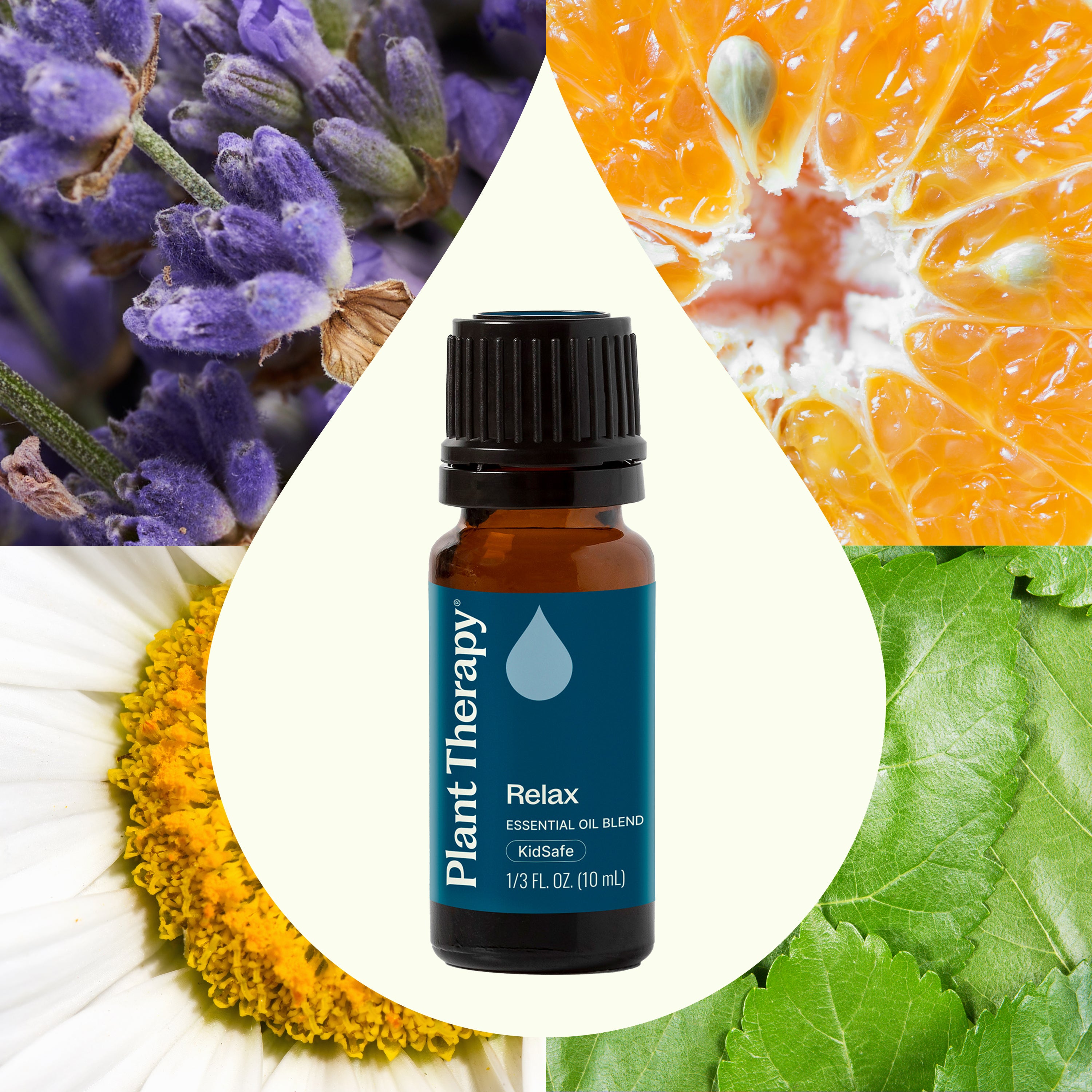Plant Therapy Essential Oil Blends - Thumbnail 4