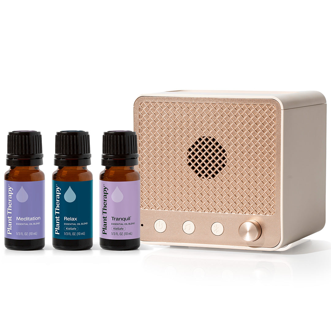 Retroflame Relaxation Bundle