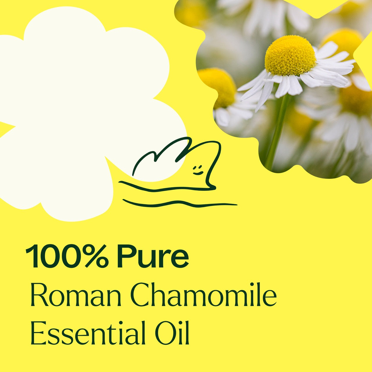 100% pure Roman Chamomile Essential Oil