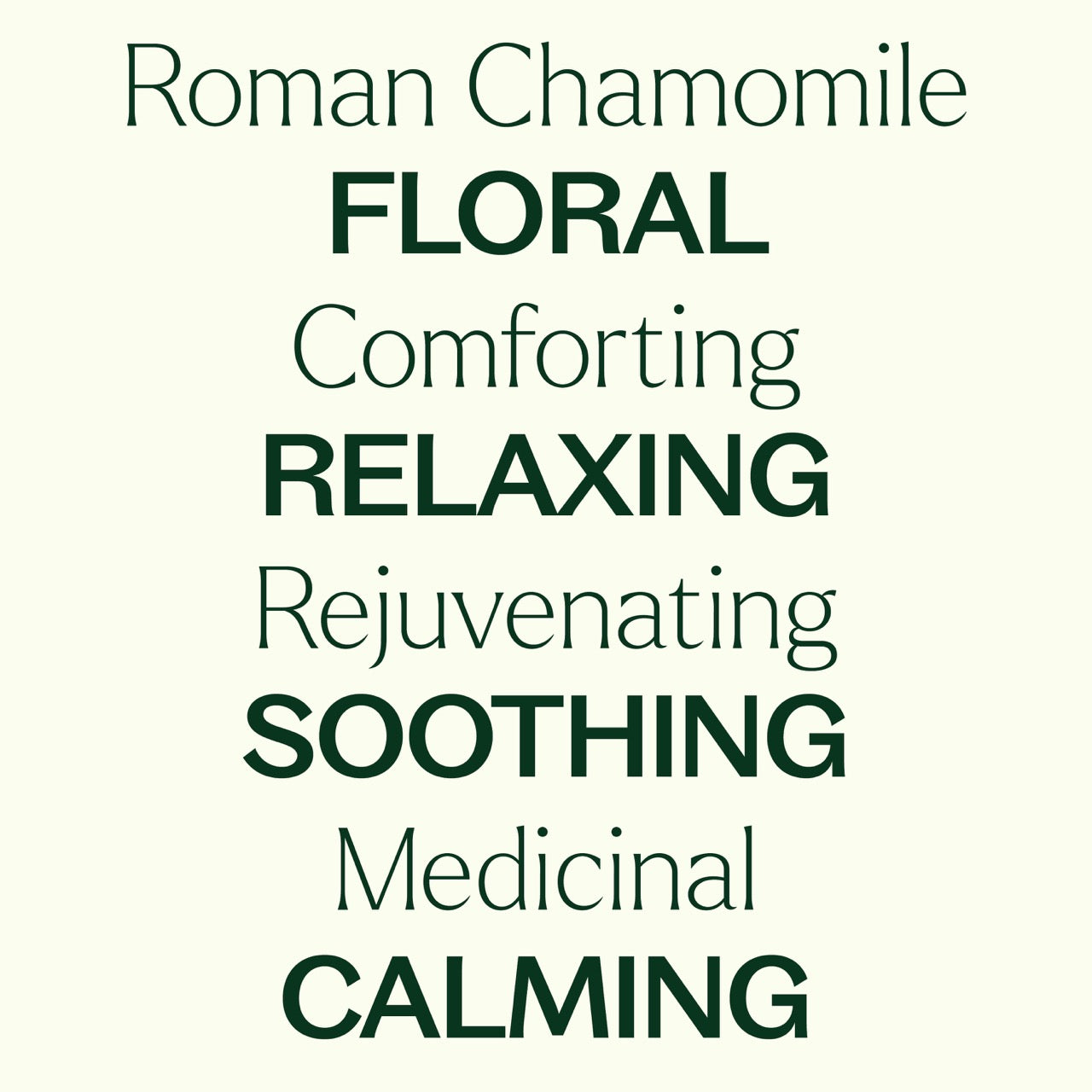 Roman Chamomile Essential Oil key features: floral, comforting, relaxing, rejuvenating, soothing, medicinal, calming