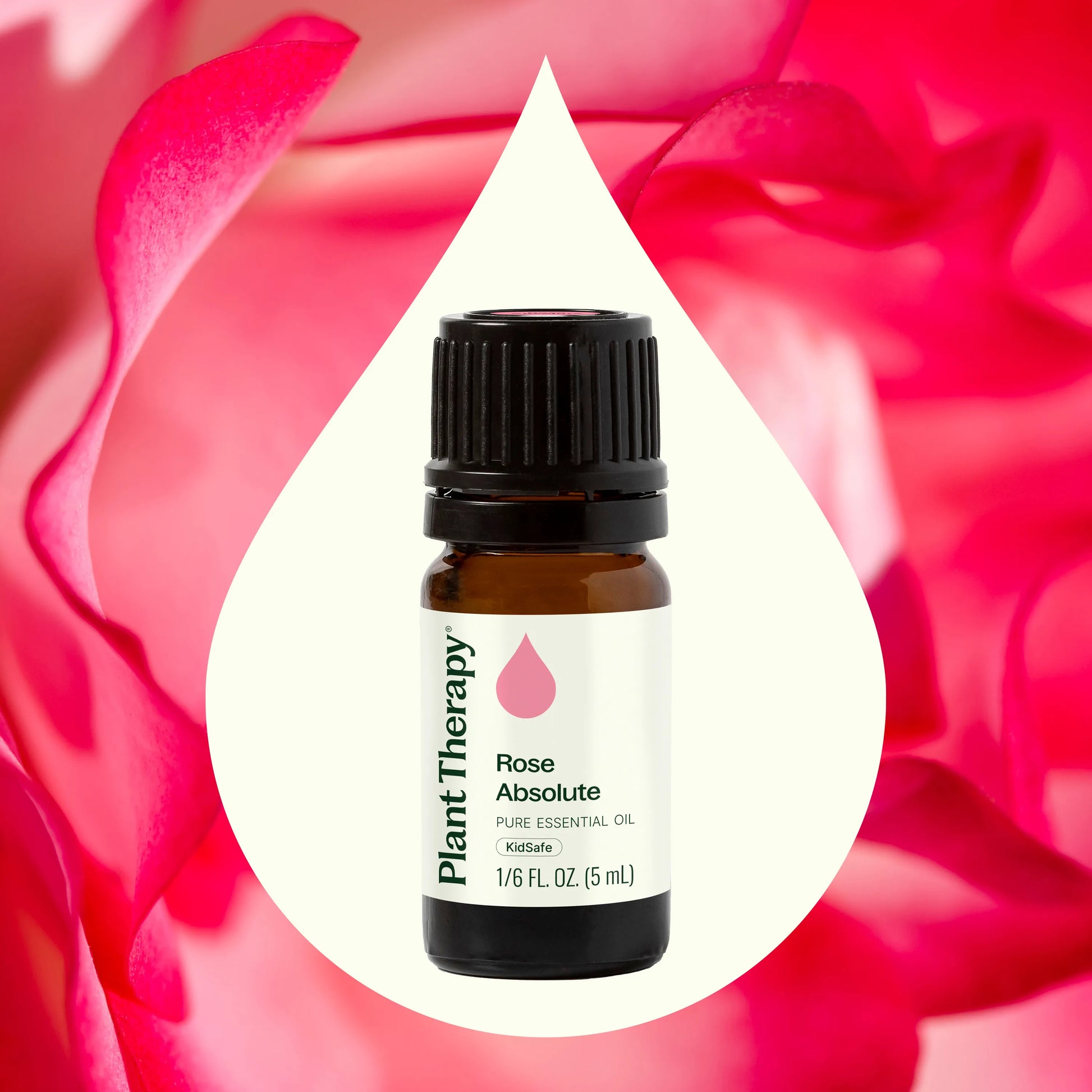 Rose Absolute Essential Oil