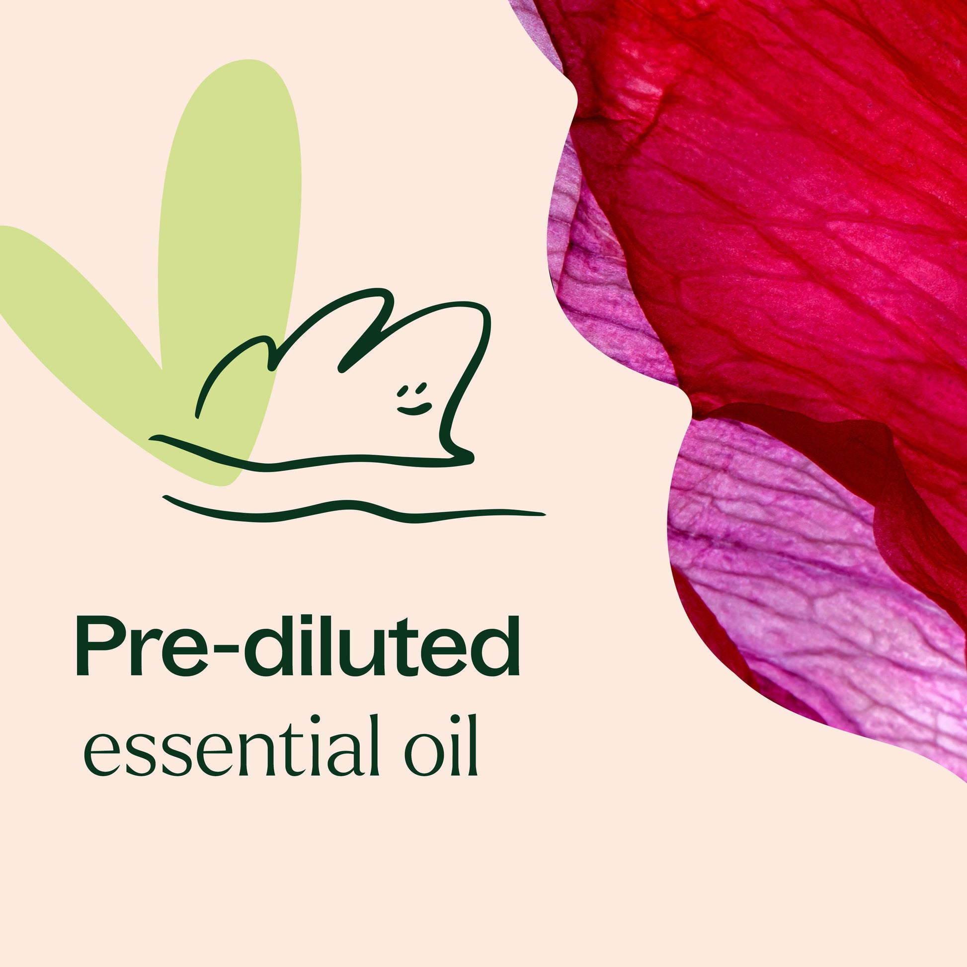 Rose Absolute Pre-Diluted Roll-On Plant Therapy Rose Absolute Pre-Diluted Roll-On Plant Therapy