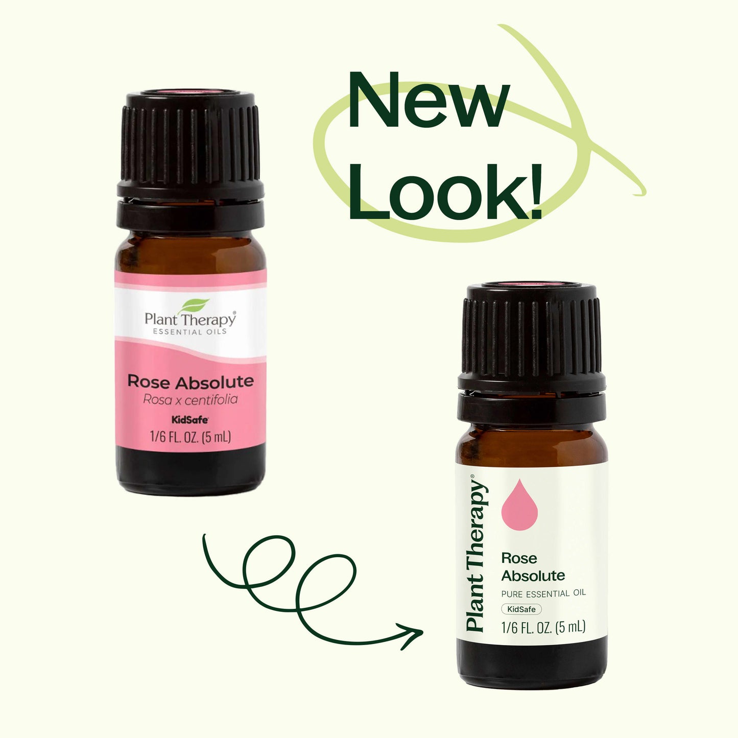 Rose Pure Absolute Essential Oil