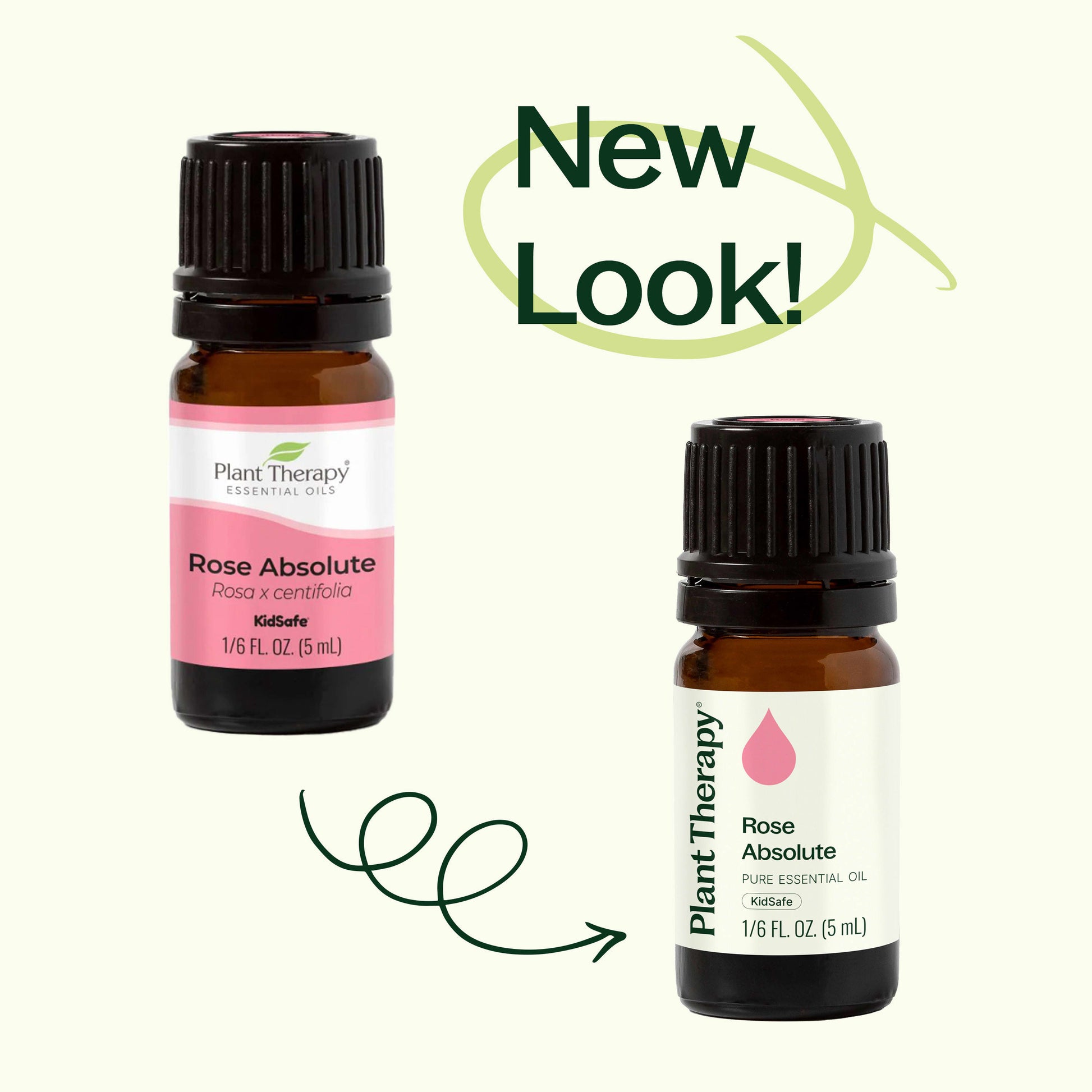 Rose Pure Absolute Essential Oil