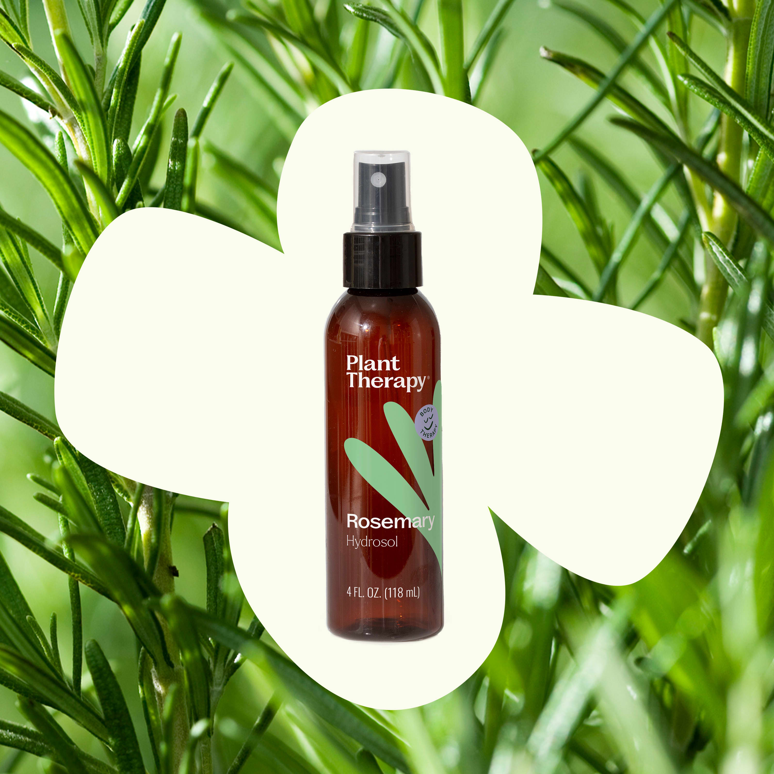 Rosemary Hydrosol – Plant Therapy
