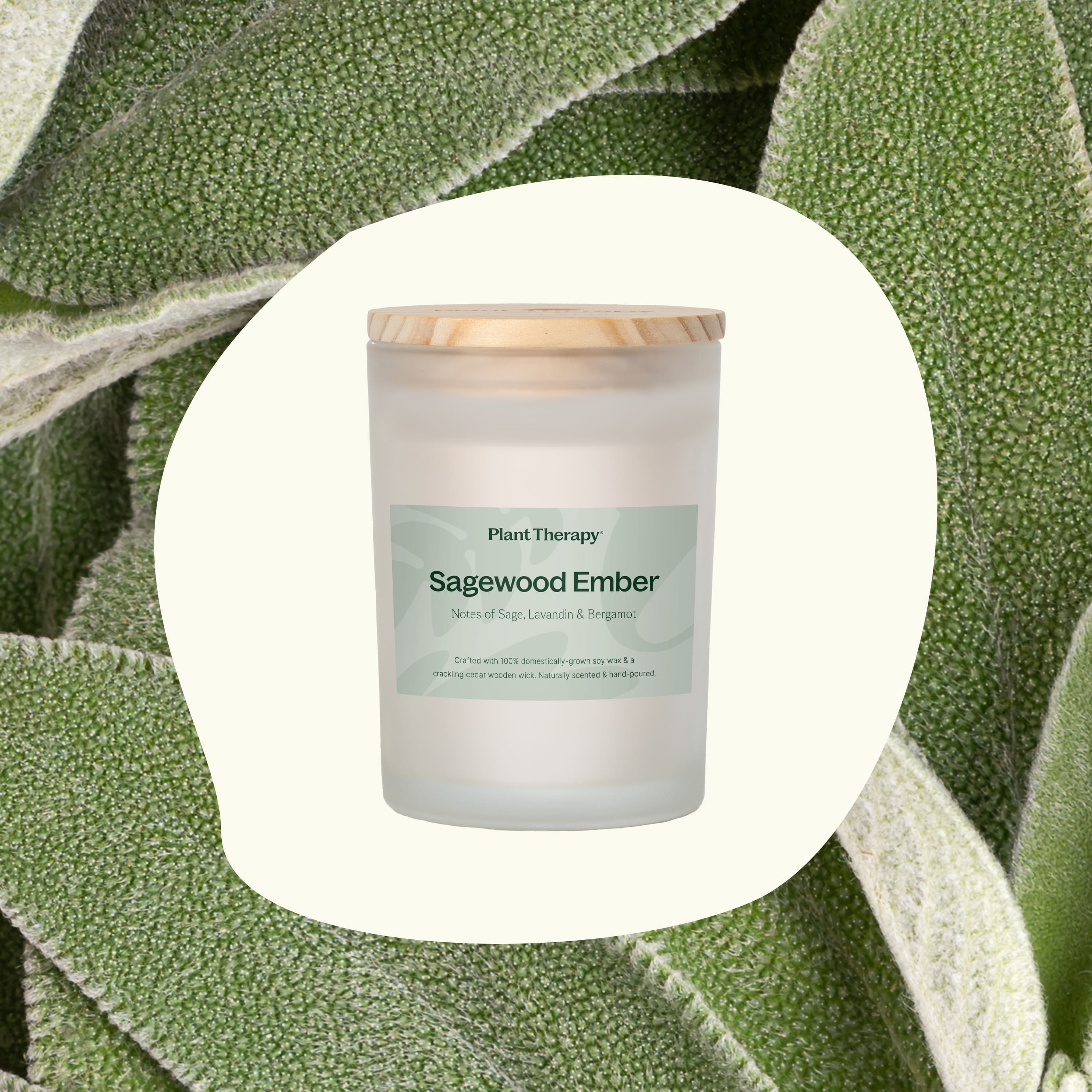 Picture of Plant-Based Beauty Products | Natural Living Solutions | Plant Therapy