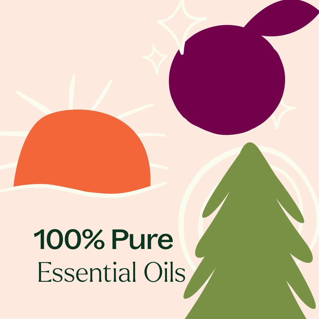 Seasonal Favorites Trio