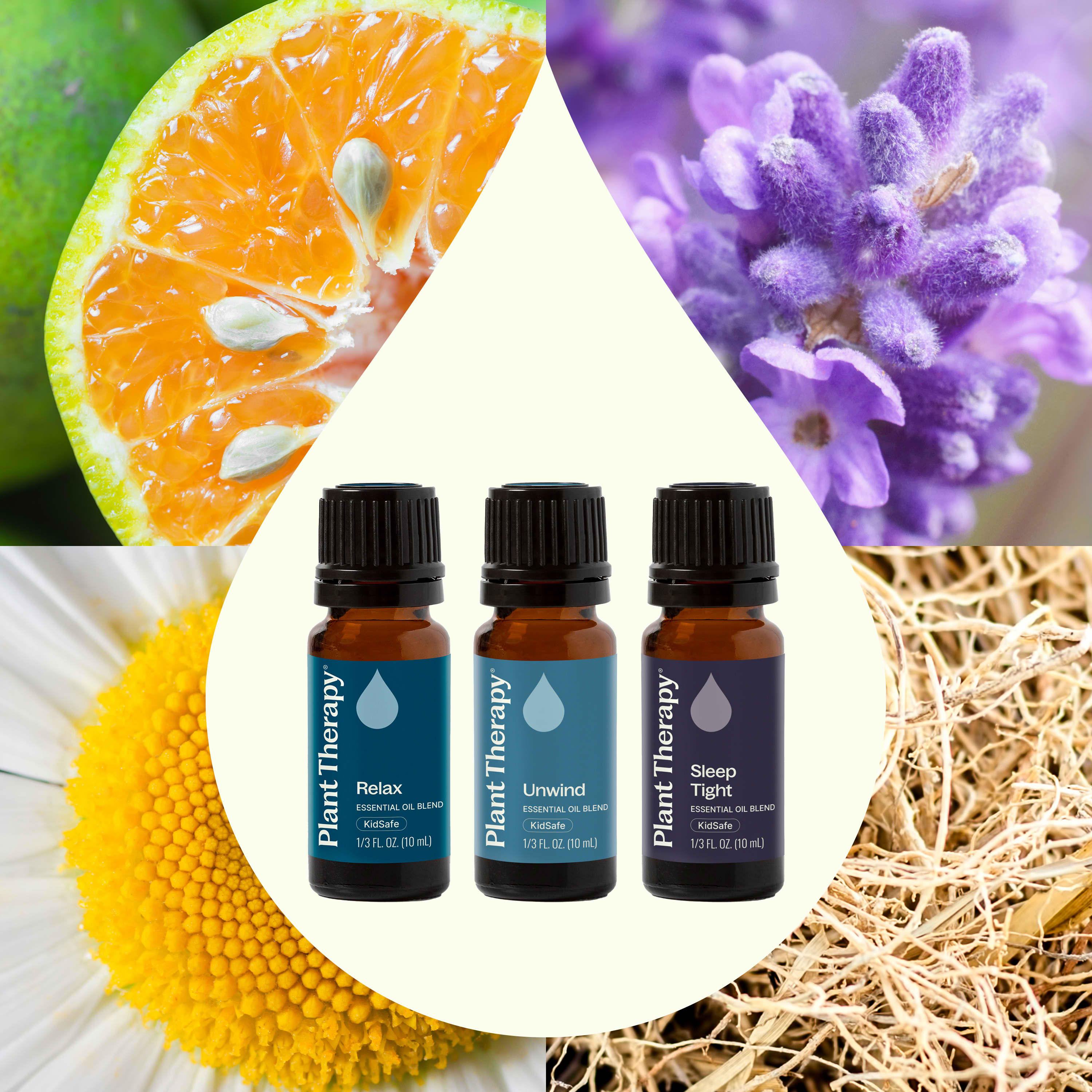 Sleep Easy Essential Oil Blend Set – Plant Therapy