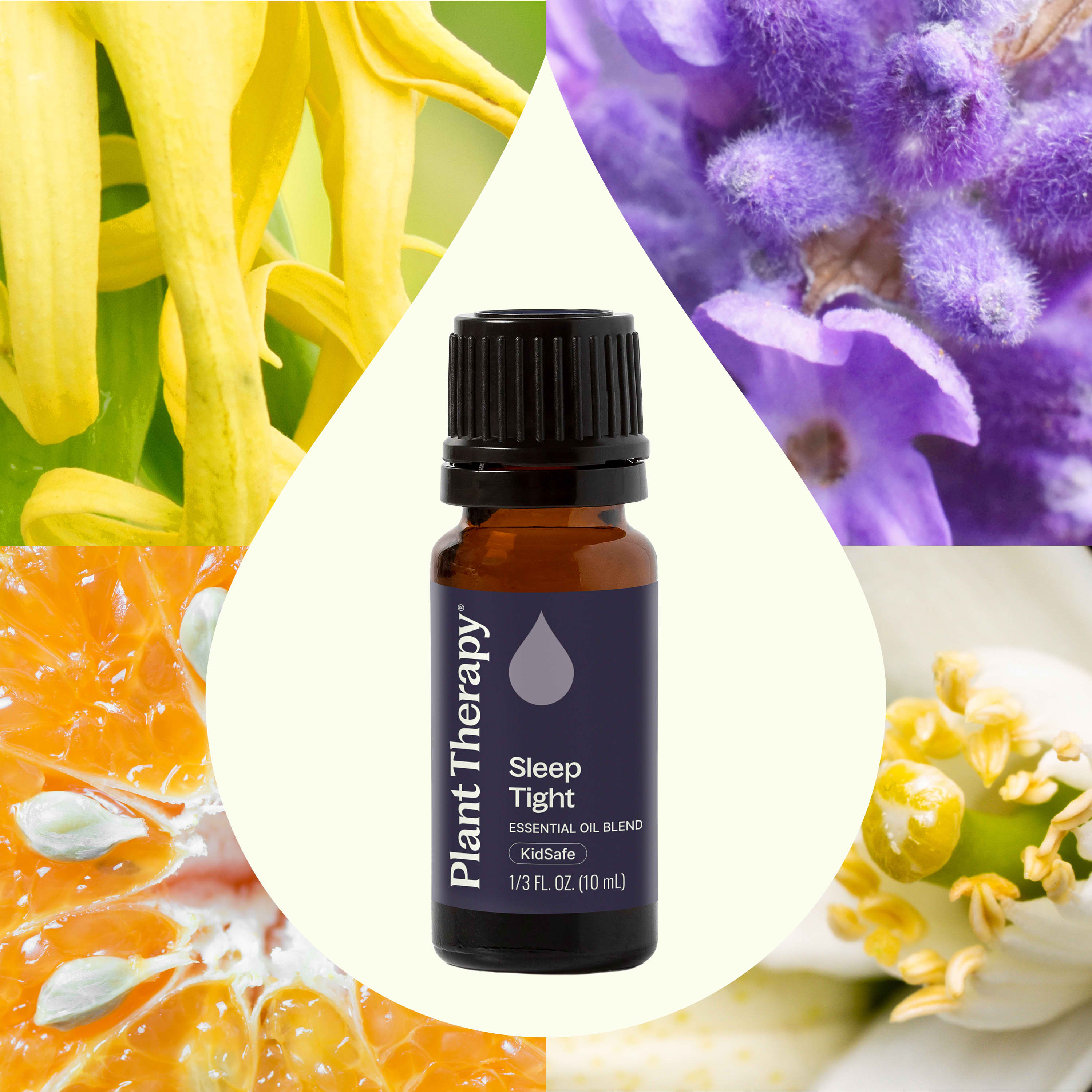 Sleep Tight Essential Oil Blend – Plant Therapy