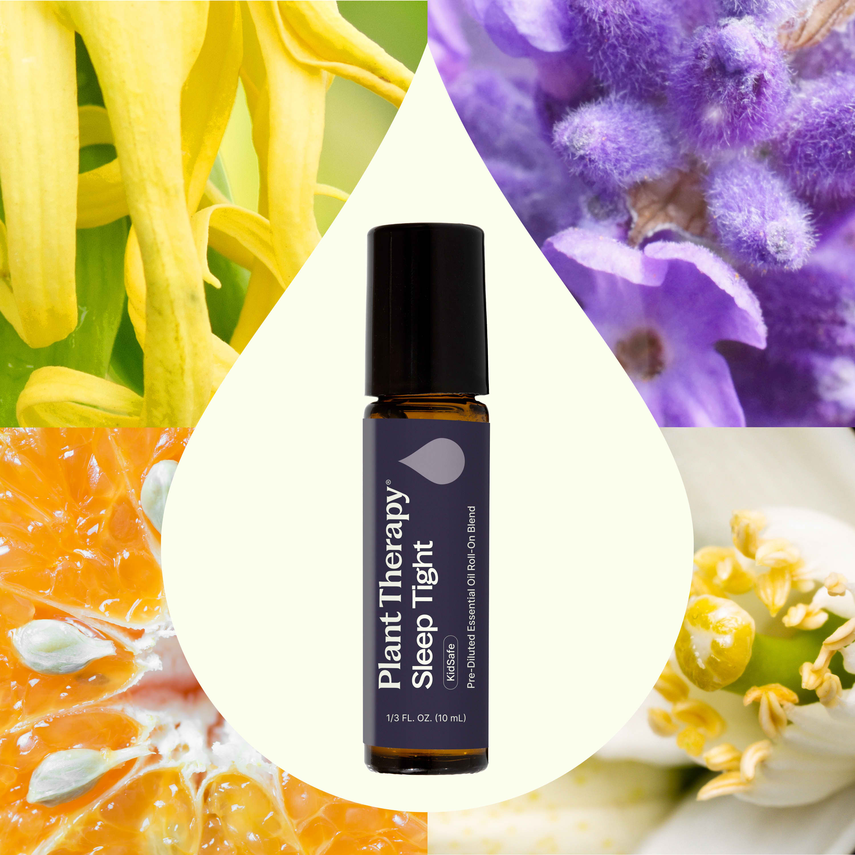 Patch Sommeil Aux Huiles Essentielles - Aide à L'endormissement, Relaxant - Pour Nuits Calmes Et Reposantes