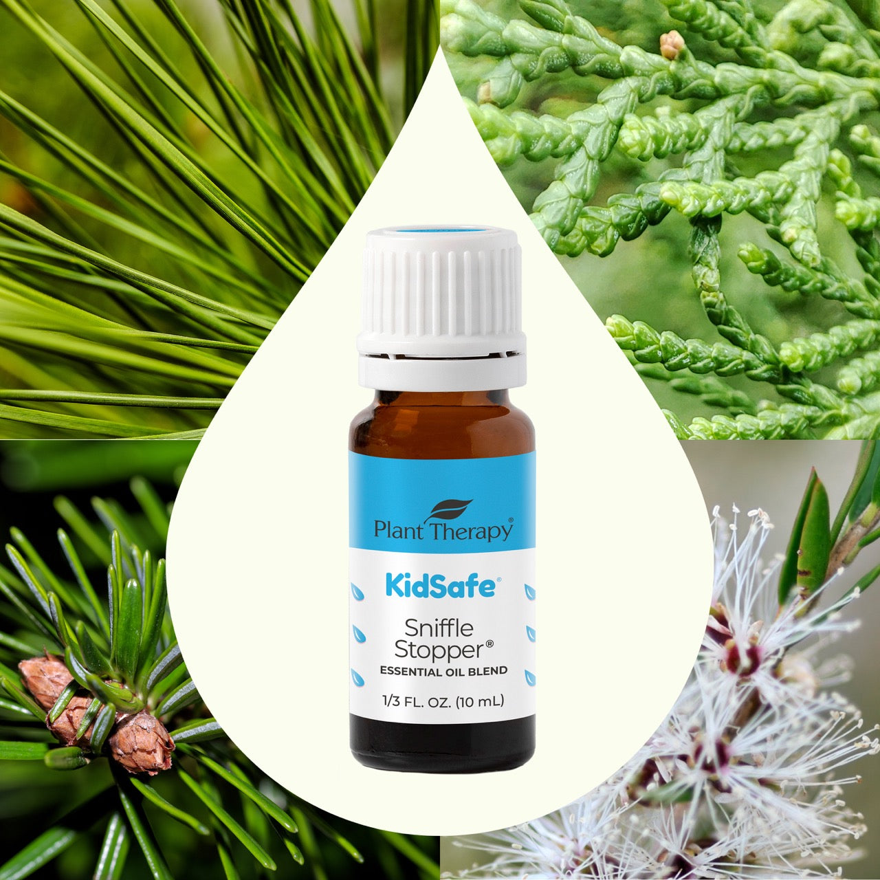 Sniffle Stopper KidSafe Essential Oil main ingredient images
