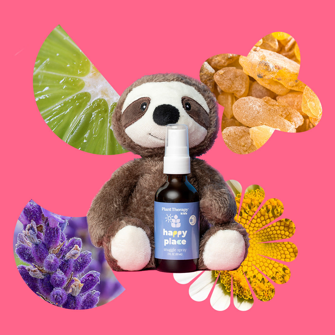 Snuggle Sloth's Calming Kit