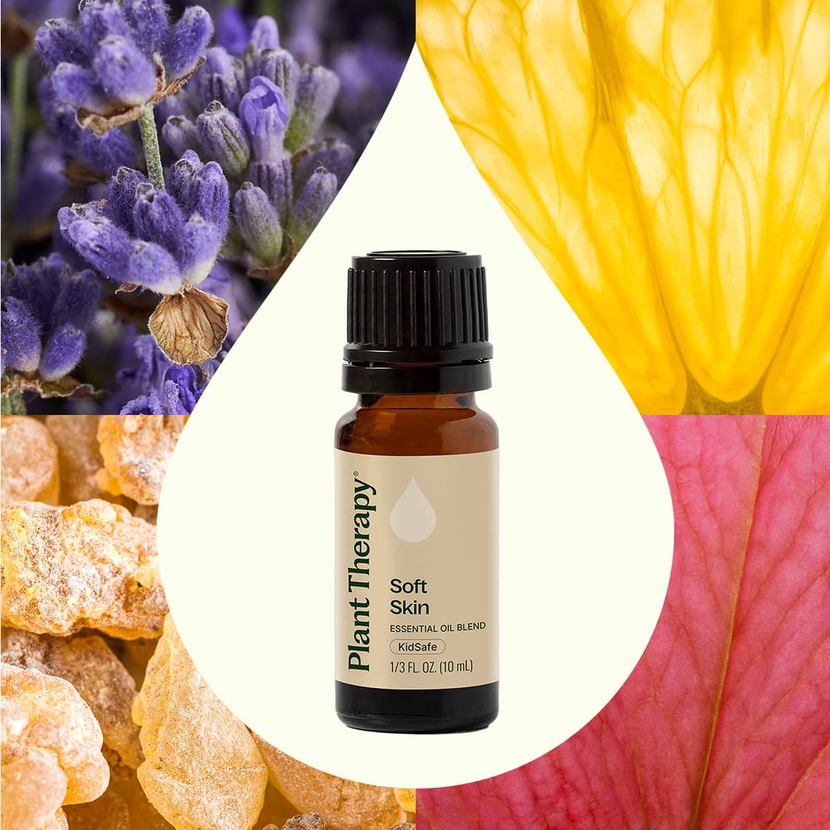 Plant Therapy Soft Skin Essential Oil Blend - Thumbnail 4