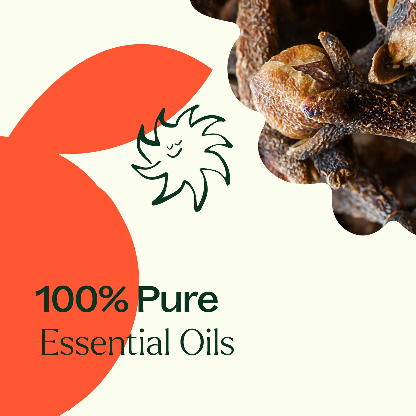 Spiced Orange Essential Oil Blend