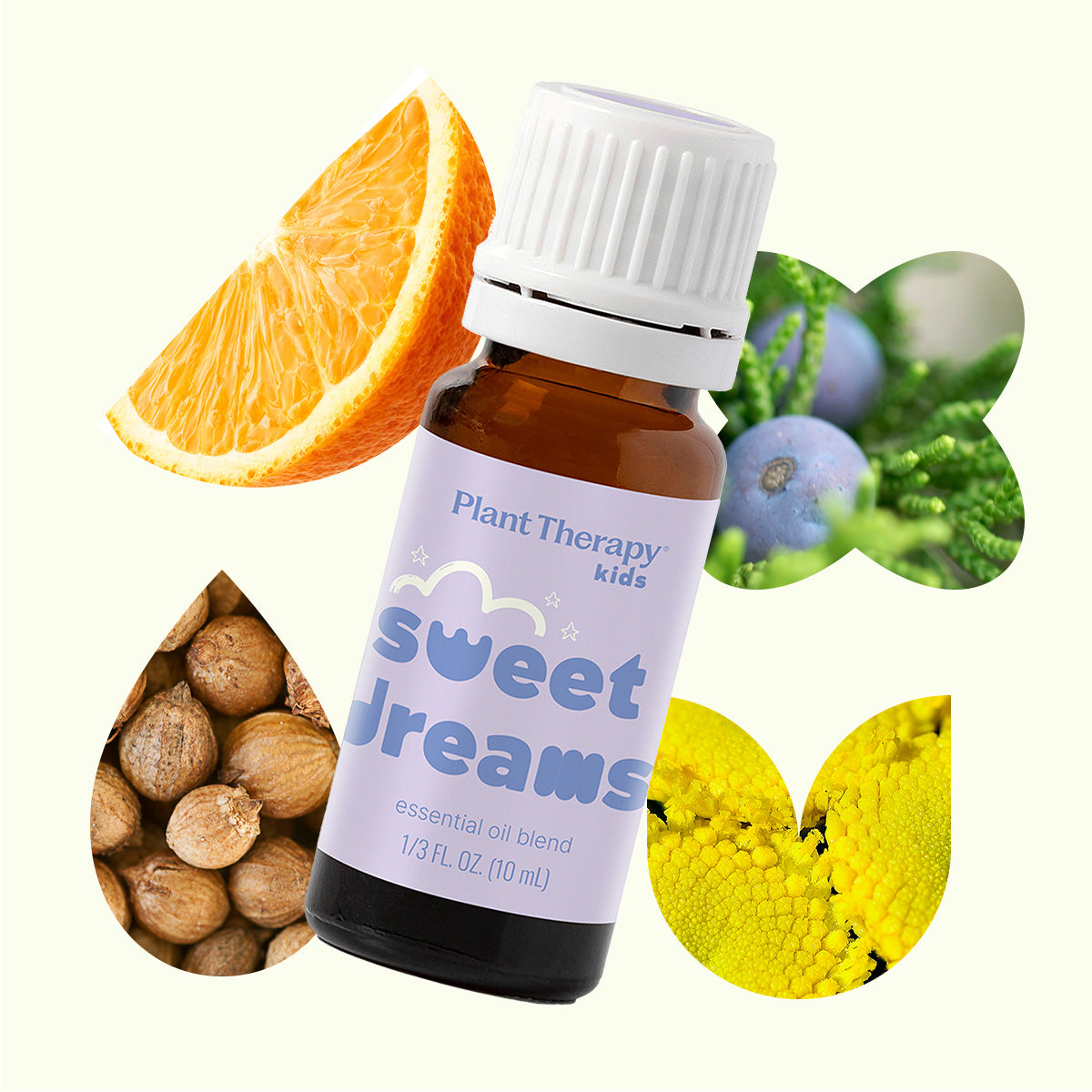 Sweet Dreams Essential Oil – Plant Therapy