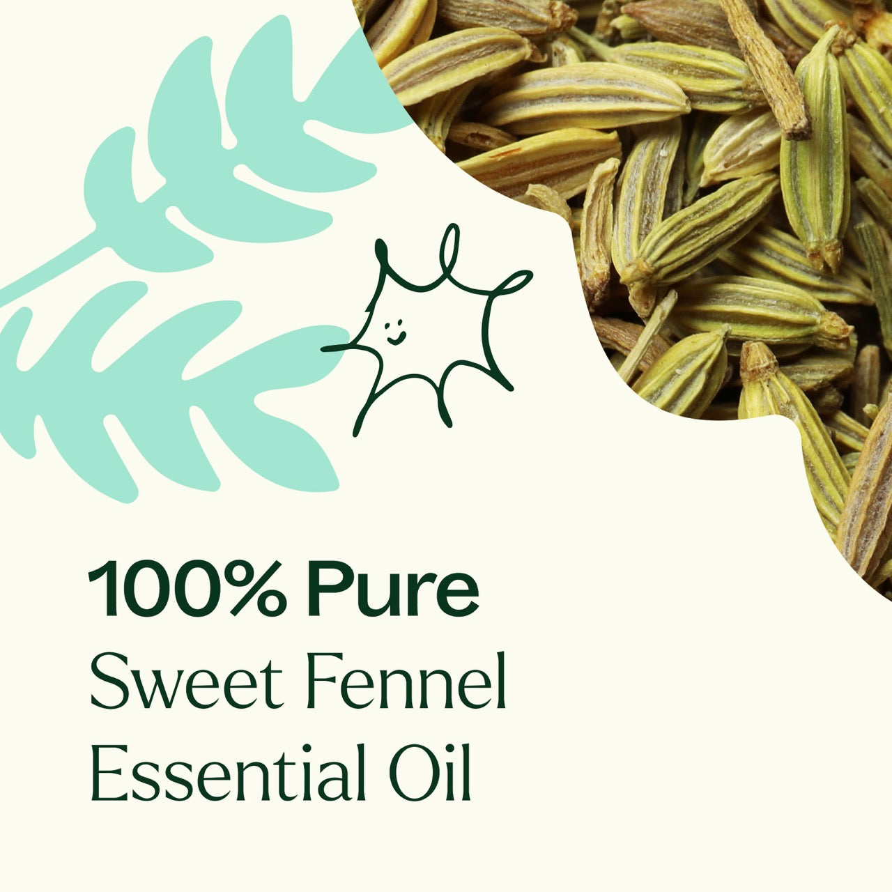 100% pure Sweet Fennel Essential Oil