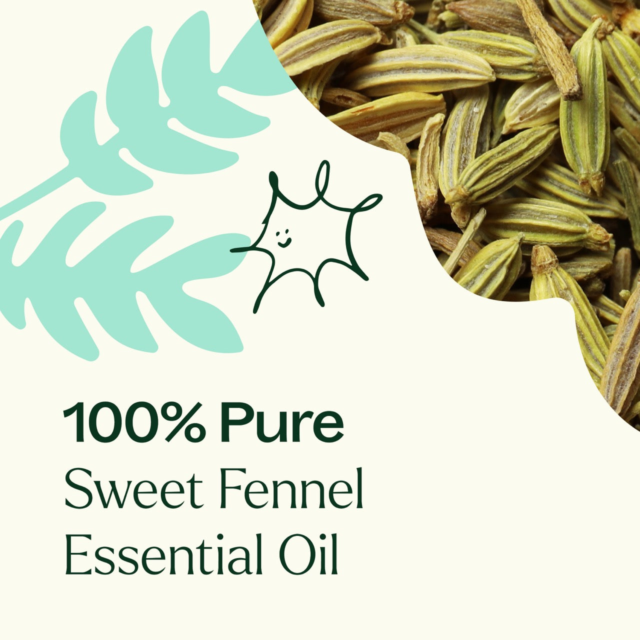 Sweet Fennel Essential Oil Plant Therapy