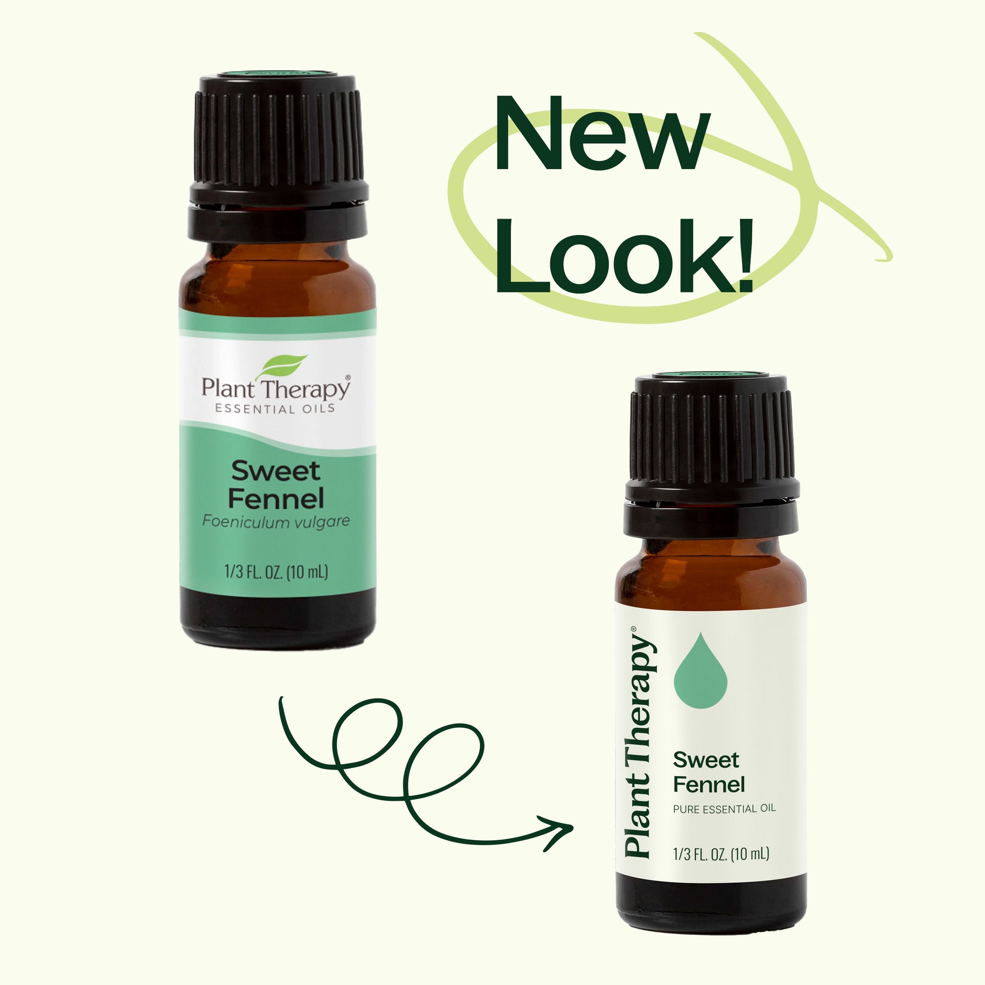 Sweet Fennel Essential Oil