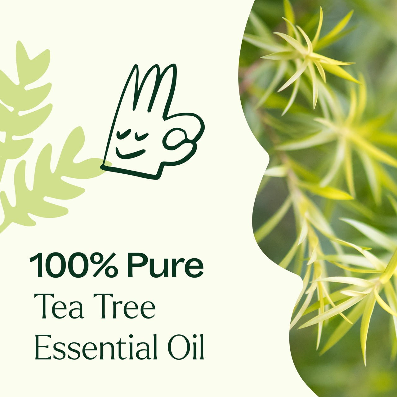 100% pure Tea Tree Essential Oil