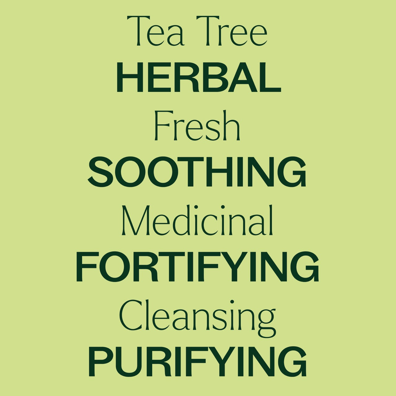 Tea Tree Essential Oil key features: herbal, fresh, soothing, medicinal, fortifying, cleansing, purifying