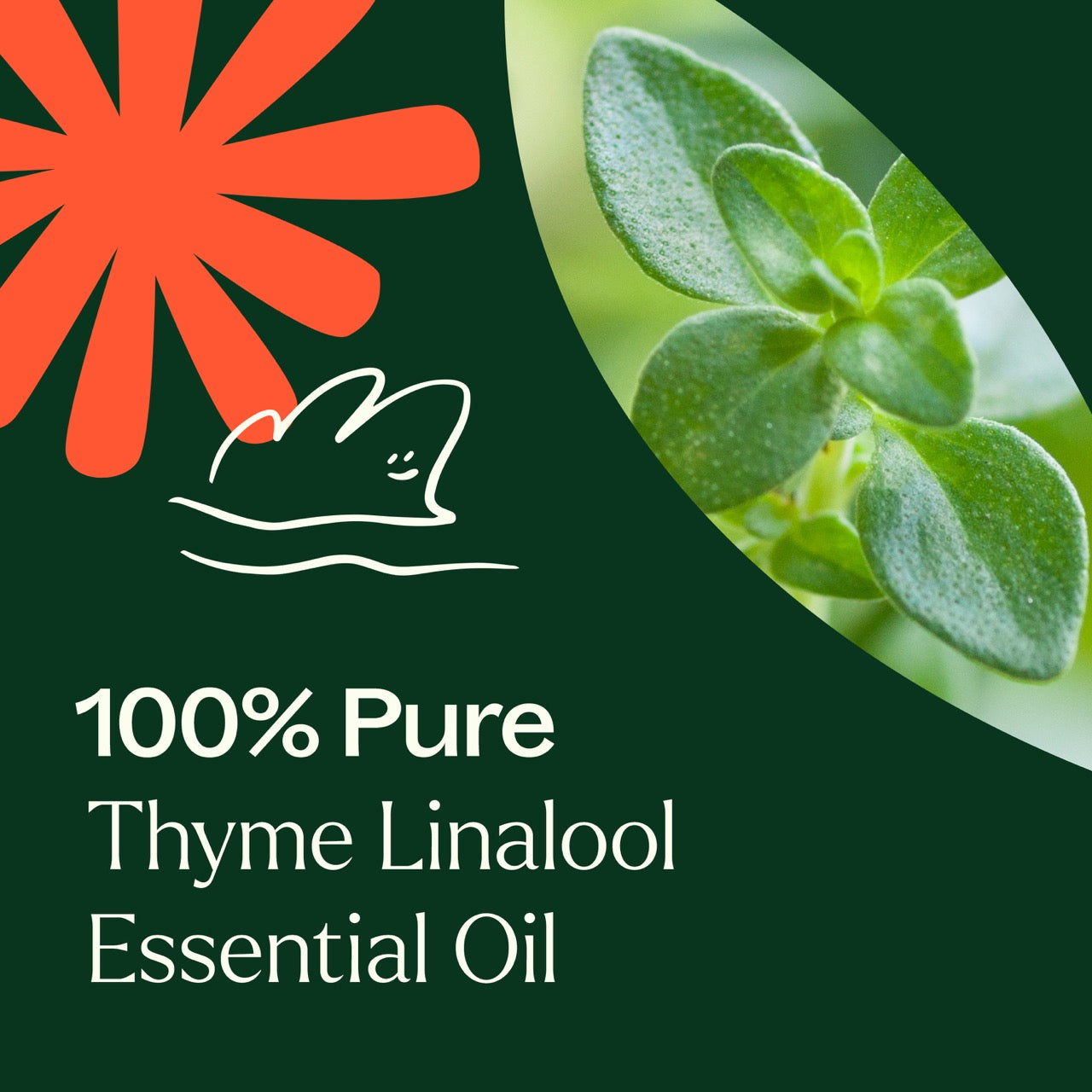 100% pure Thyme Linalool Essential Oil