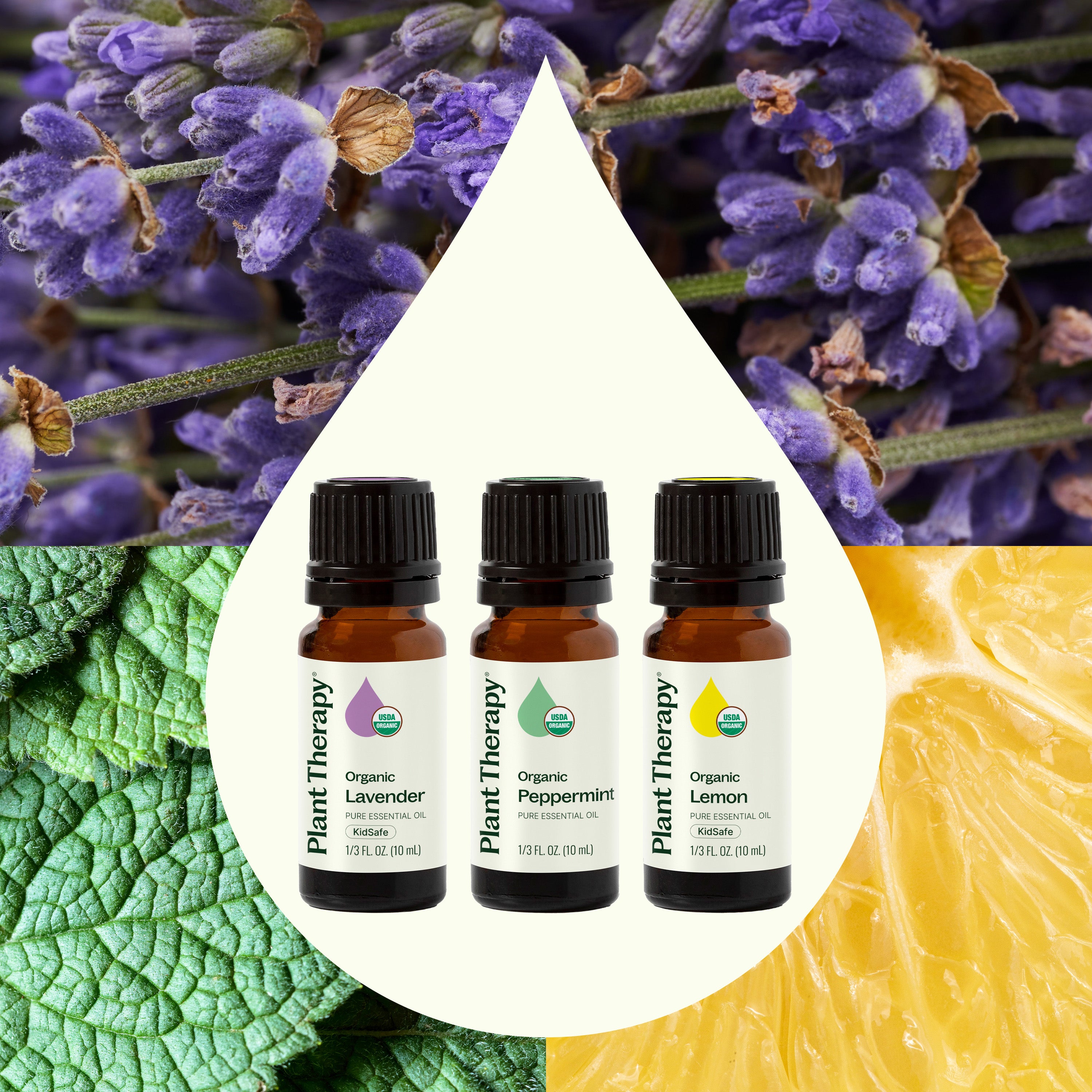 Top 3 Organic Singles Set – Plant Therapy